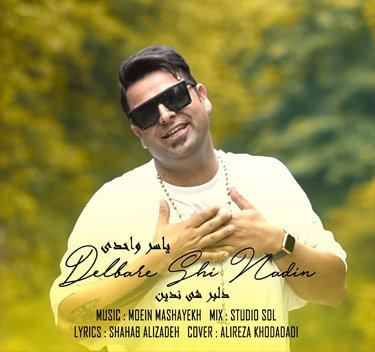 یاسر واحدی دلبر شی ندین